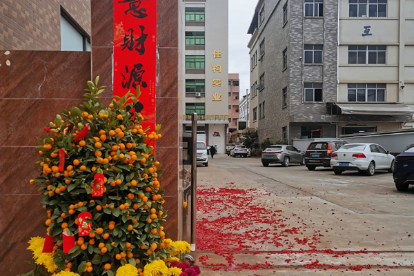 东莞顺驰塑胶科技开工