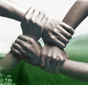 我们的团队口号